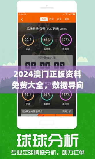 2024年澳门精准免费大全,统计信息解析说明_铂金版94.220