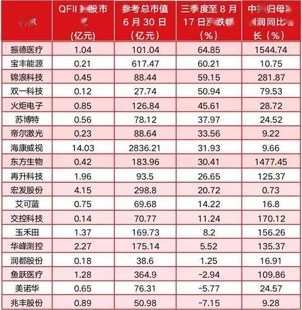 2024新澳门6合彩,稳健设计策略_炼皮境94.953