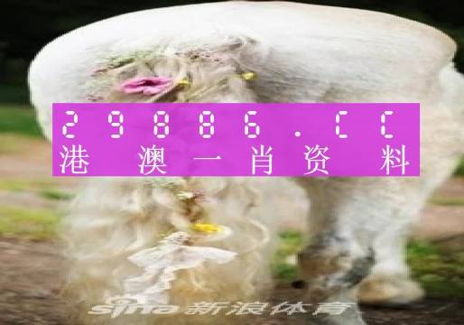 今晚必中一肖一码四不像,决策信息解释_备用版22.683