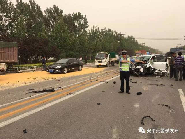 衡水车祸后心灵之旅，自然怀抱中的内心平静探寻