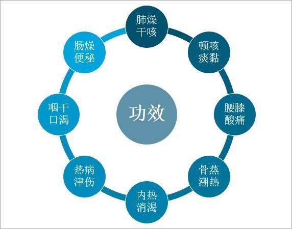 2025年正版资料免费大全最新版本,精细化方案决策_荣耀版62.638