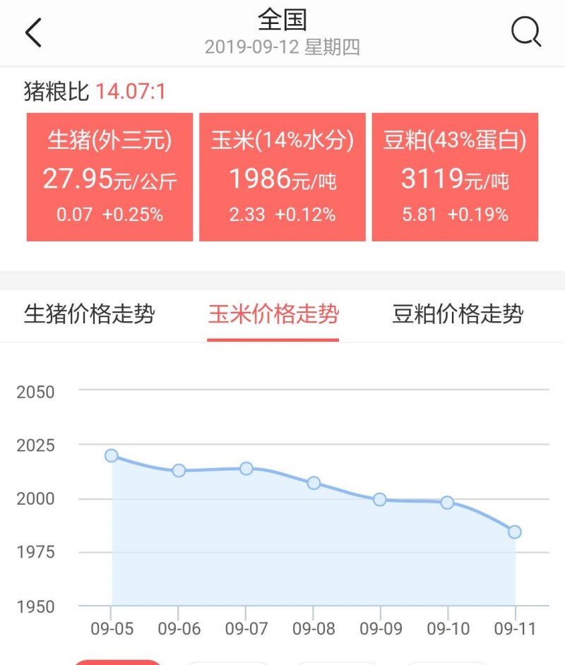 当前玉米最新价格行情，一场探寻内心平静的玉米之旅