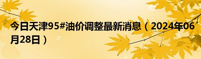 天津油价调整最新动态，全面解析油价变动与影响因素