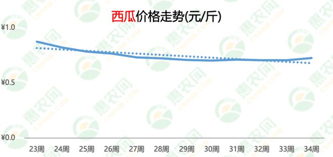 上海西瓜价格最新行情