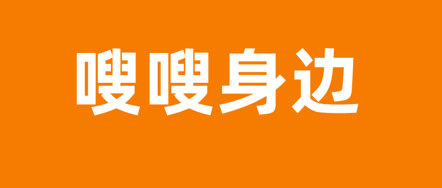 引领时代风潮的脉搏跳动，最新资讯速递