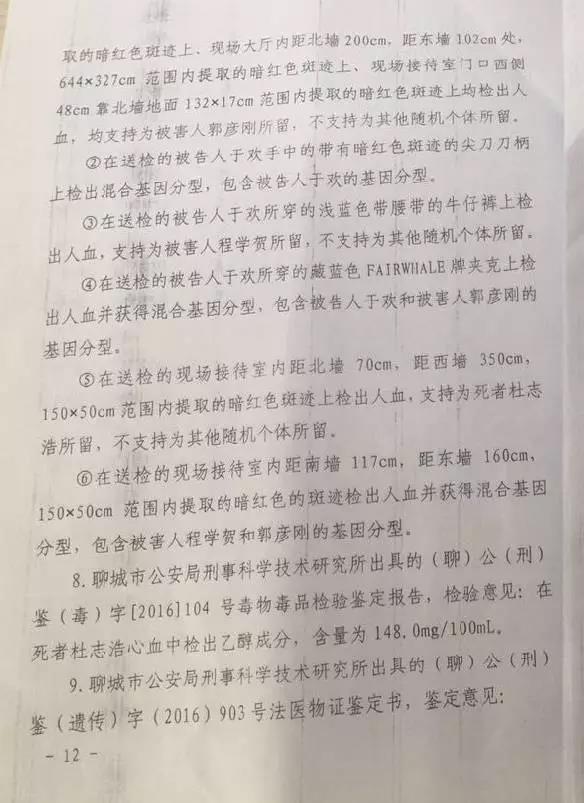 聊城辱母杀人案最新进展揭秘，科技助力侦探系统重塑正义，真相逐渐明朗